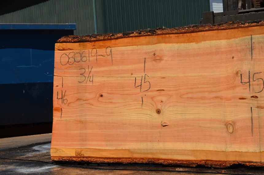 080619-09 Oregon Fir Slab
