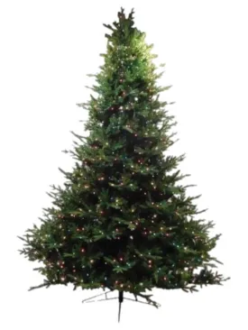 7.5' Albany Fir PRELIT CLEAR