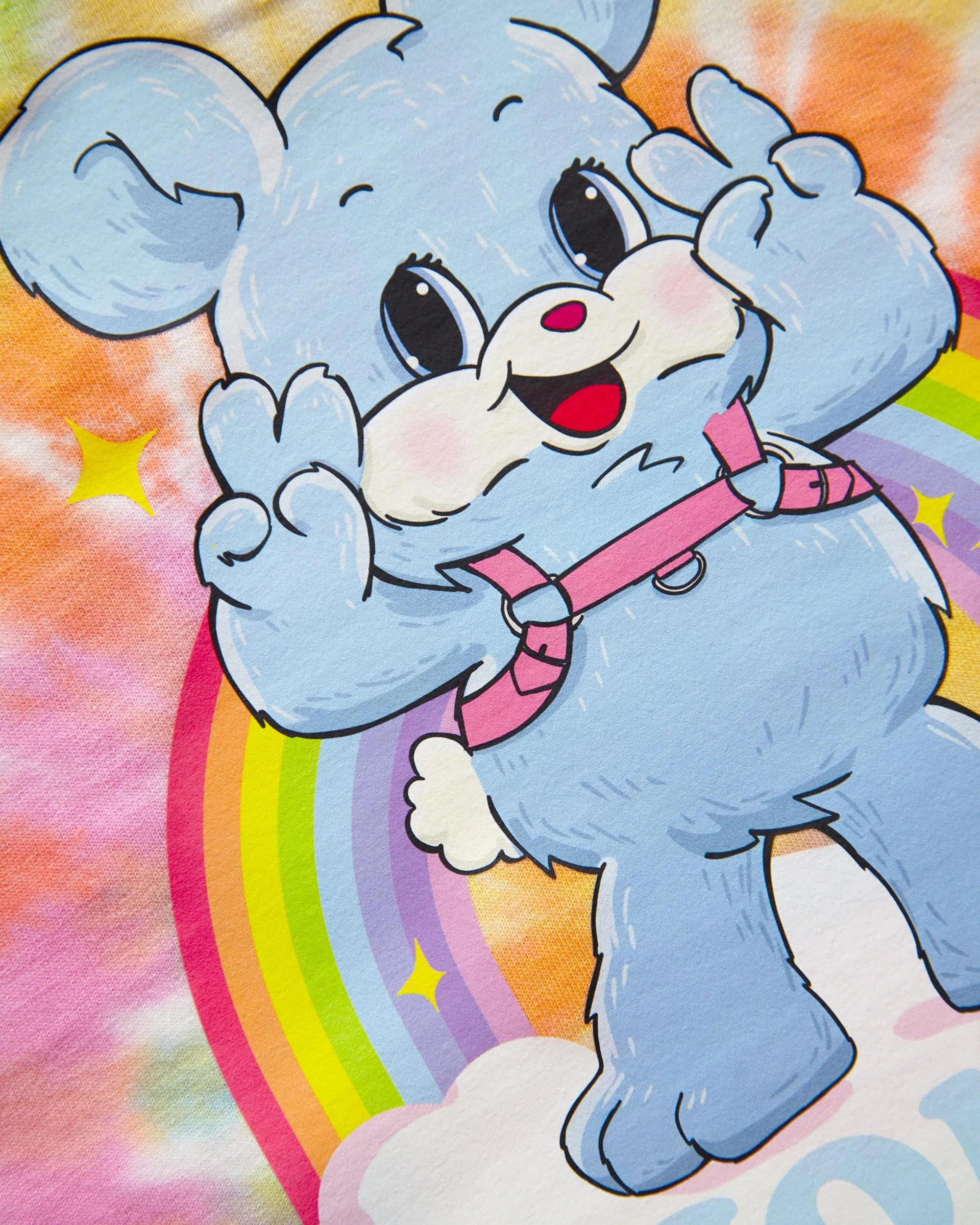 HOMO bear on tie-dye - crop top