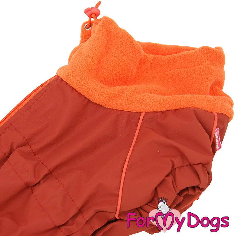 NEW DESIGN Dachshund Down To Earth Winter Suit For Girls TM1 & TC1
